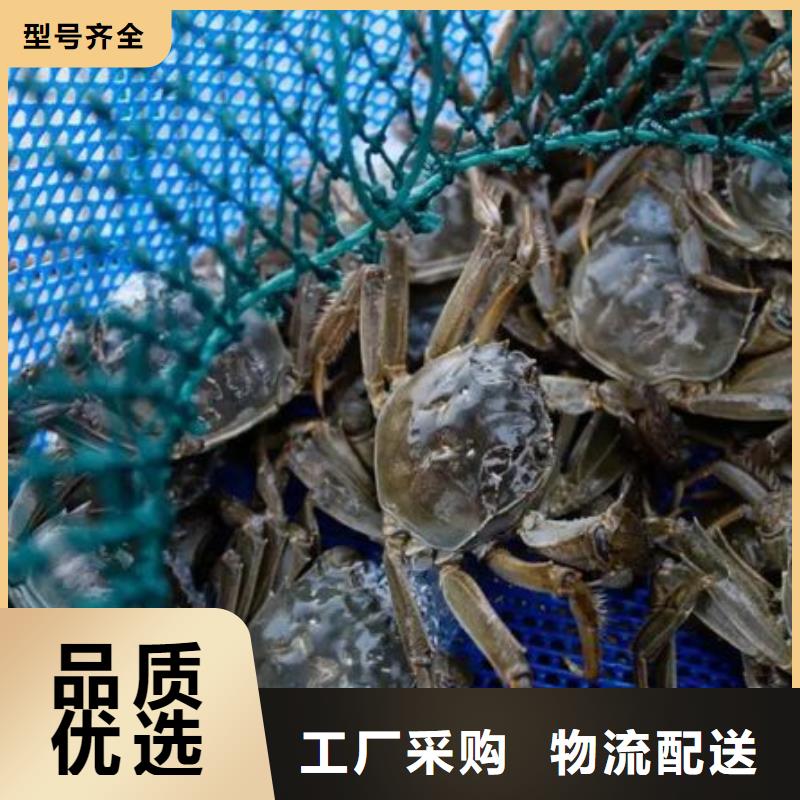 去阳澄湖买蟹哪里正宗在苏州莲花岛