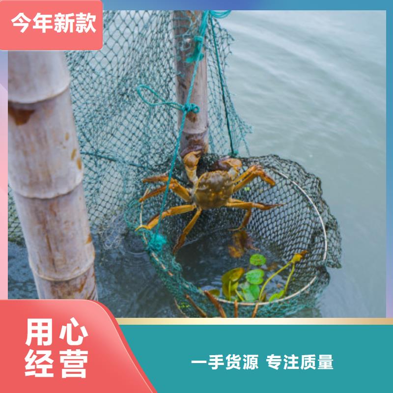 阳澄湖大闸蟹哪里好