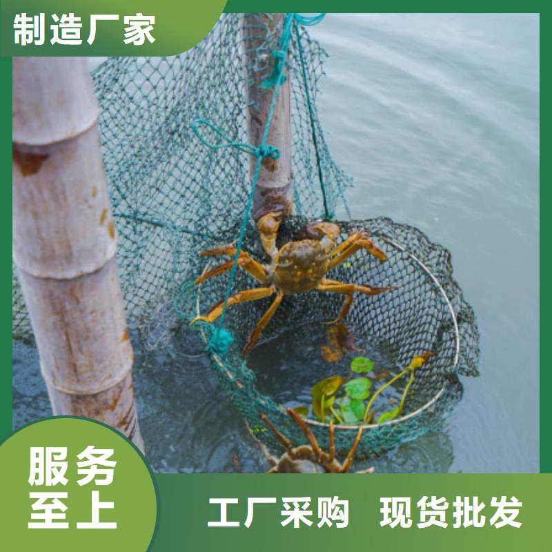 大闸蟹_【阳澄湖大闸蟹多少钱】认准大品牌厂家当地品牌