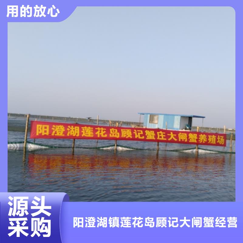 供应商大闸蟹,【阳澄湖大闸蟹价格】选择我们选择放心