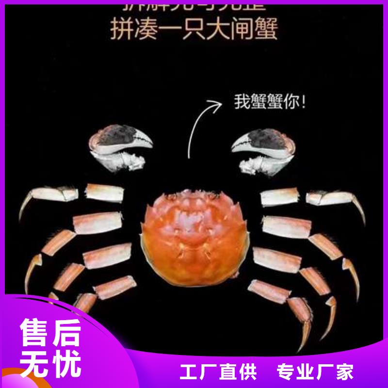 阳澄湖大闸蟹-视频-泉州市阳澄湖大闸蟹-阳澄湖镇岛顾记大闸蟹经营部(泉州市分公司)服务区域石狮|洛江|福州|龙岩|莆田|漳州|三明|厦门