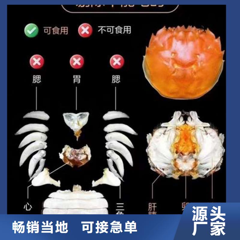 阳澄湖大闸蟹顾记螃蟹_【网上订购大闸蟹】正规厂家
