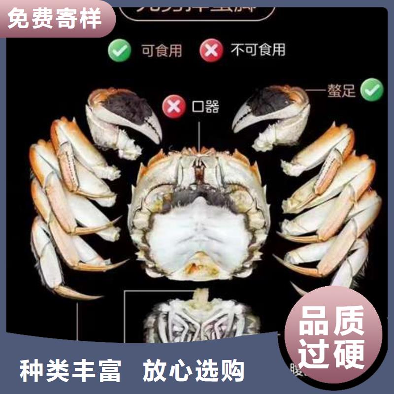 阳澄湖大闸蟹视频-阳澄湖大闸蟹_宁夏市场覆盖银川等