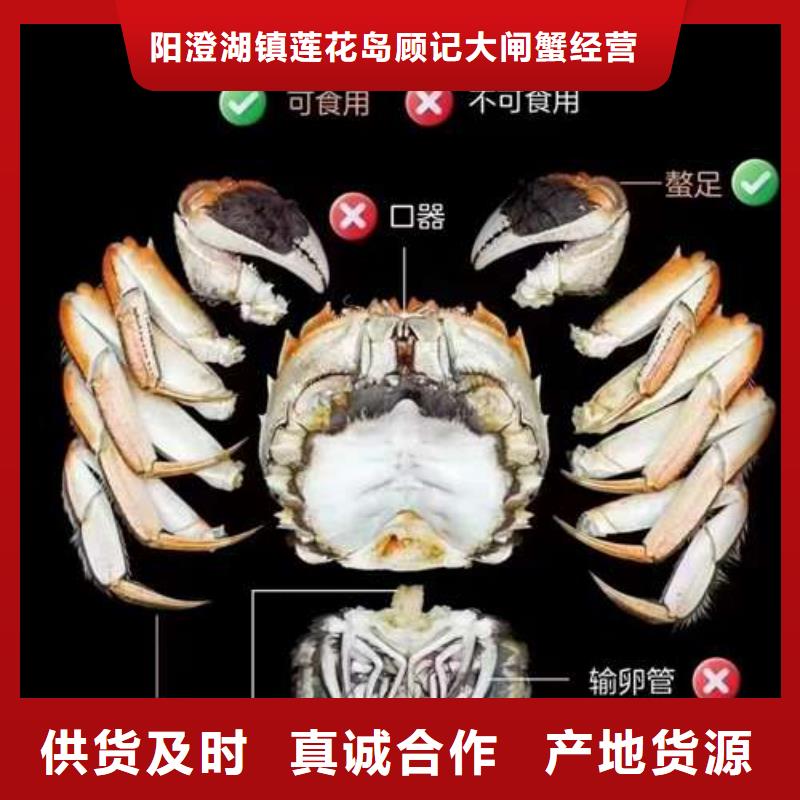 【螃蟹 阳澄湖大闸蟹订购优选好材铸造好品质】-服务区域包括莱城|钢城|临沂|青岛|济宁|德州|东营|威海|淄博等-产品视频
