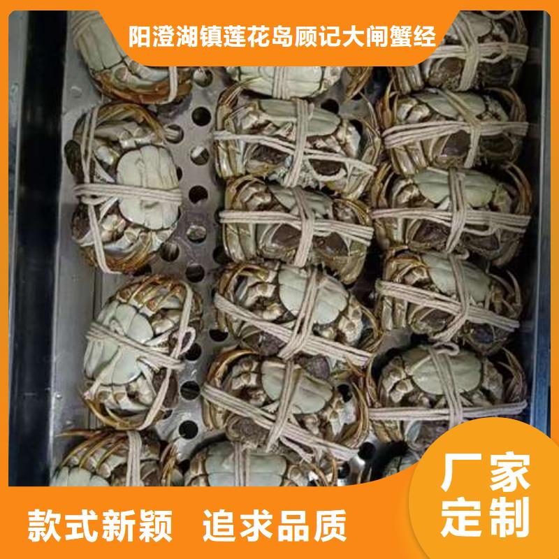 阳澄湖大闸蟹-视频-泉州市阳澄湖大闸蟹-阳澄湖镇岛顾记大闸蟹经营部(泉州市分公司)服务区域石狮|洛江|福州|龙岩|莆田|漳州|三明|厦门