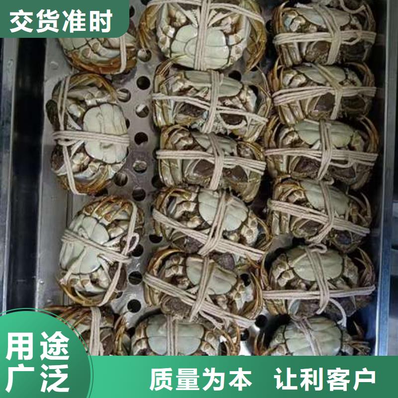 支持大批量采购把实惠留给您 螃蟹_【阳澄湖大闸蟹】支持拿样