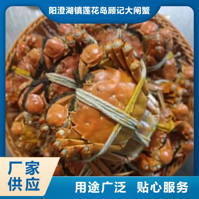 阳澄湖大闸蟹-视频-银川顾记阳澄湖大闸蟹_ 阳澄湖镇岛顾记大闸蟹经营部(宁夏分公司)