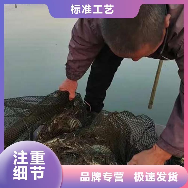 阳澄湖大闸蟹顾记螃蟹_【网上订购大闸蟹】正规厂家