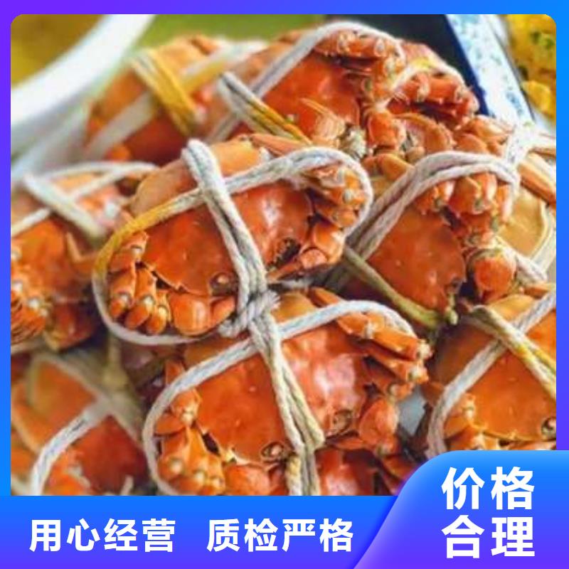 阳澄湖大闸蟹-视频-阳澄湖大闸蟹-湖北省黄冈市【周边】公司-红安|麻城|孝感|荆州|宜昌|武汉|随州|十堰
