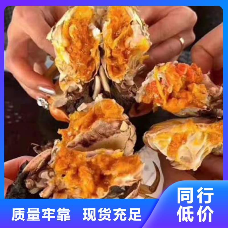 【 螃蟹 阳澄湖大闸蟹订购追求品质】-市场覆盖|南安|石狮|莆田|龙岩|漳州|厦门|三明|宁德-阿奇乐乐