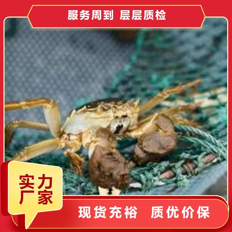 顾记阳澄湖大闸蟹【 螃蟹,卖阳澄湖大闸蟹地方精选好货】aq00.com