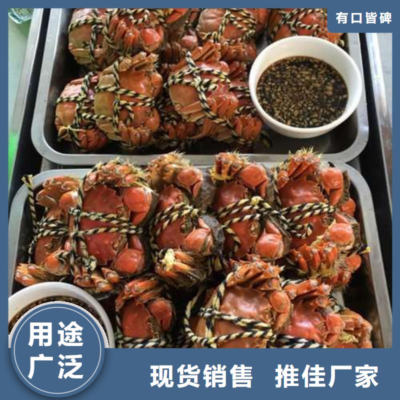 【螃蟹】 阳澄湖大闸蟹厂家新品-可发货到桑日|错那|昌都|拉萨|日喀则|林芝