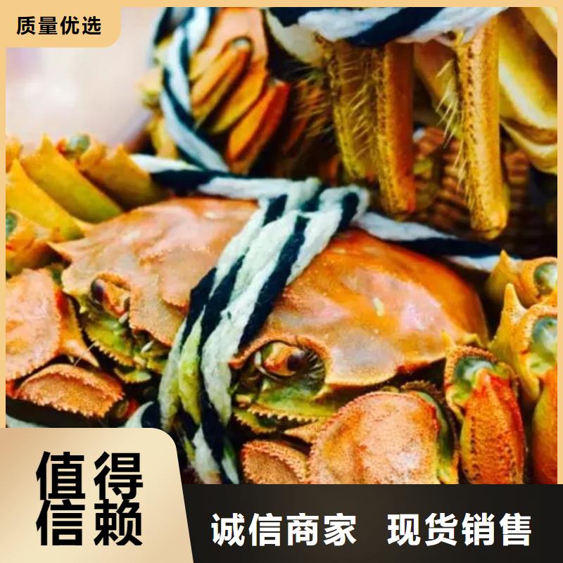 【 螃蟹_买大闸蟹品种全】-阳澄湖镇岛顾记大闸蟹经营部(榆林市分公司)