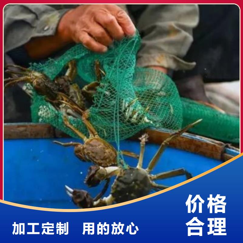 【螃蟹】 阳澄湖大闸蟹厂家新品-可发货到桑日|错那|昌都|拉萨|日喀则|林芝