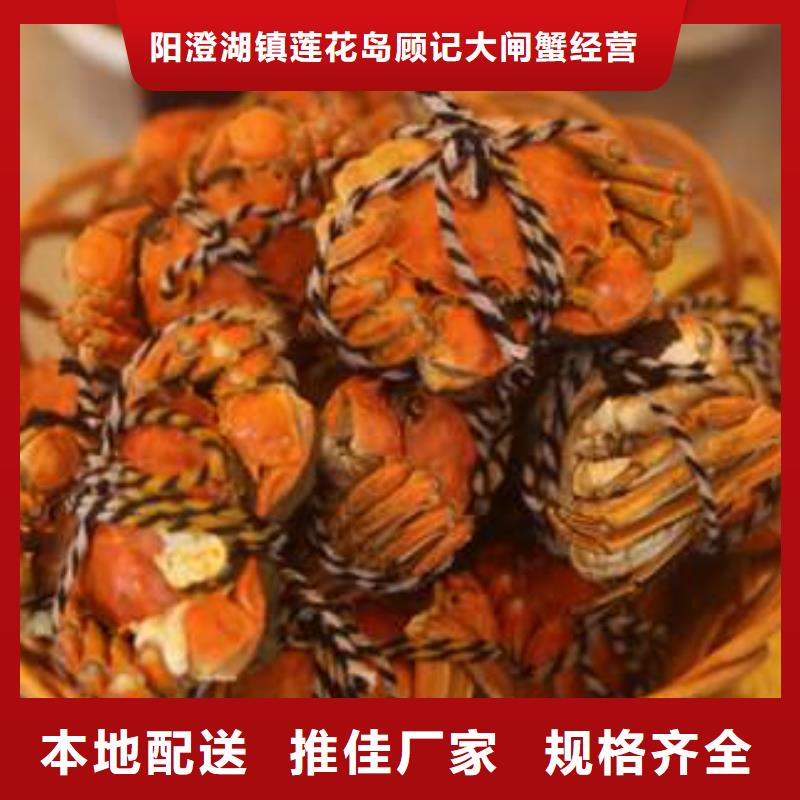 阳澄湖大闸蟹视频-阳澄湖大闸蟹_宁夏市场覆盖银川等