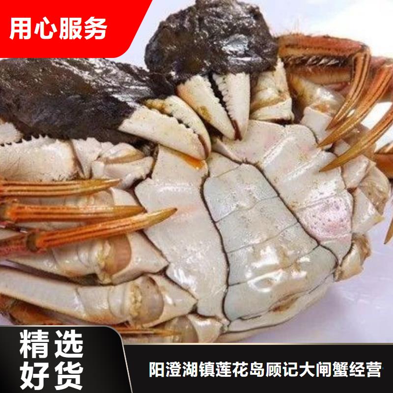 阳澄湖大闸蟹视频-阳澄湖大闸蟹_宁夏市场覆盖银川等