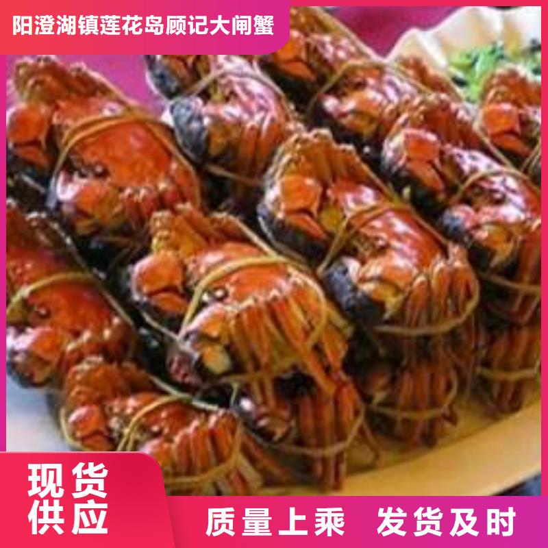 阳澄湖大闸蟹视频-南安|安溪|三明|莆田|福州|龙岩顾记阳澄湖大闸蟹_ 阳澄湖镇岛顾记大闸蟹经营部(泉州市分公司)