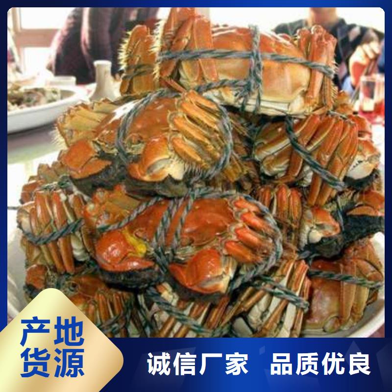 阳澄湖大闸蟹-视频-阳澄湖大闸蟹-湖北省黄冈市【周边】公司-红安|麻城|孝感|荆州|宜昌|武汉|随州|十堰