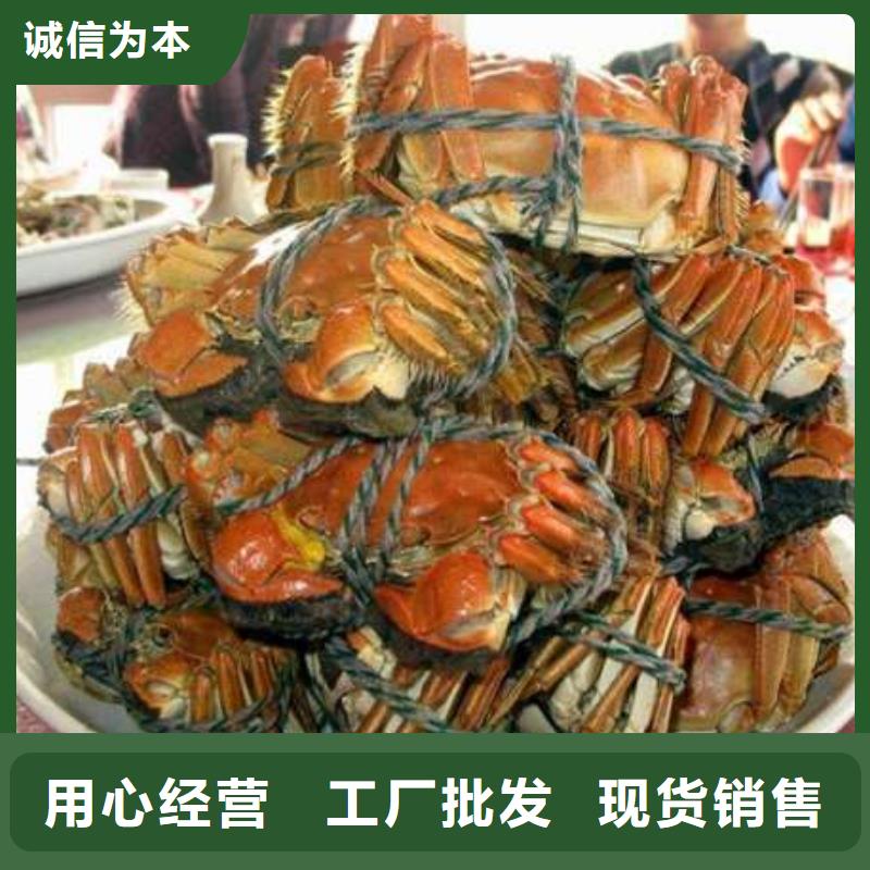 阳澄湖大闸蟹-视频-泉州市阳澄湖大闸蟹-阳澄湖镇岛顾记大闸蟹经营部(泉州市分公司)服务区域石狮|洛江|福州|龙岩|莆田|漳州|三明|厦门