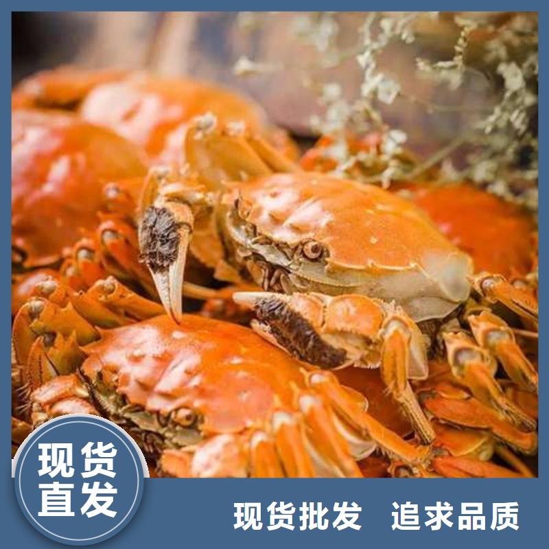 阳澄湖大闸蟹视频-南安|安溪|三明|莆田|福州|龙岩顾记阳澄湖大闸蟹_ 阳澄湖镇岛顾记大闸蟹经营部(泉州市分公司)