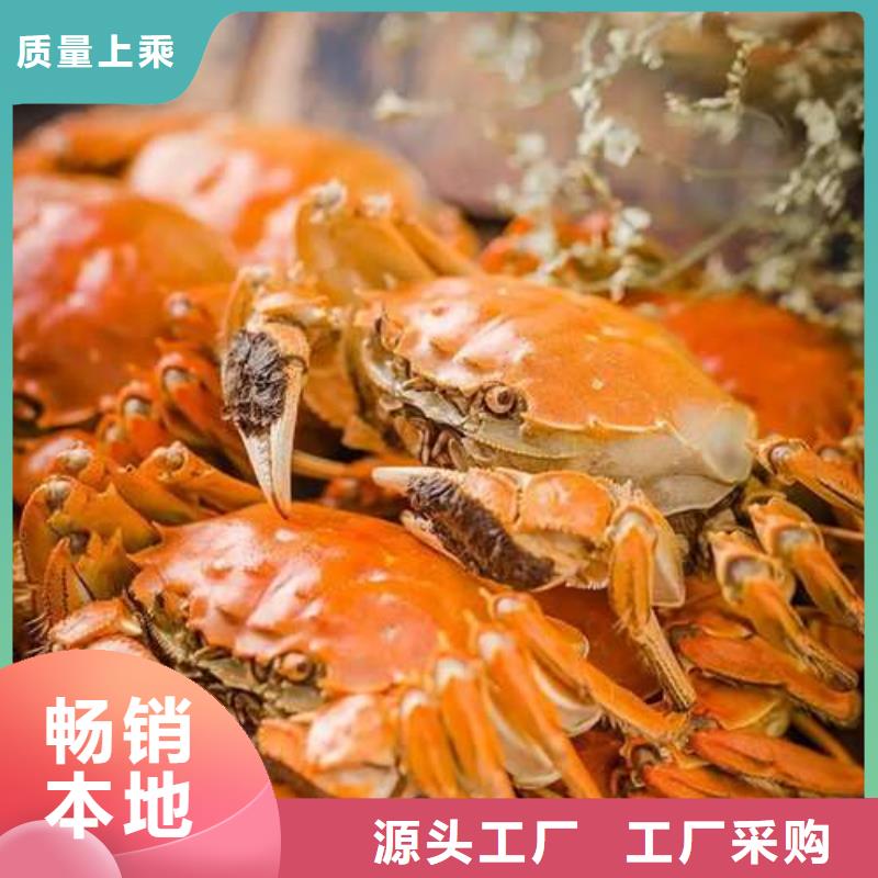 阳澄湖大闸蟹-视频-兴化|泰兴|南通|南京|无锡|苏州|盐城阳澄湖大闸蟹订制批发-阳澄湖镇岛顾记大闸蟹经营部(泰州市分公司)