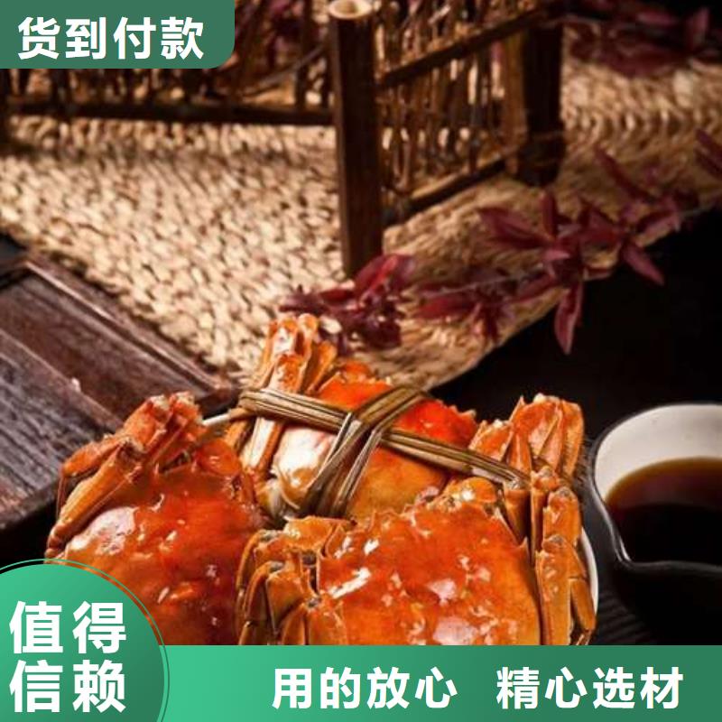 【 螃蟹_买大闸蟹品种全】-阳澄湖镇岛顾记大闸蟹经营部(榆林市分公司)