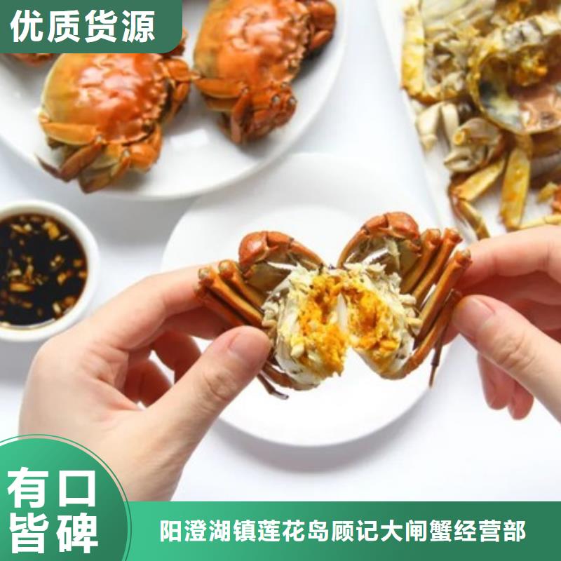 阳澄湖大闸蟹视频-莱城|钢城|淄博|菏泽|滨州|东营|威海|烟台顾记阳澄湖大闸蟹_ 阳澄湖镇岛顾记大闸蟹经营部(莱芜市分公司)