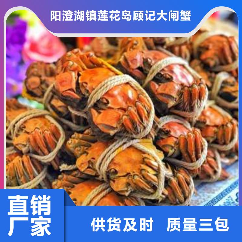 阳澄湖大闸蟹视频-阳澄湖大闸蟹_宁夏市场覆盖银川等