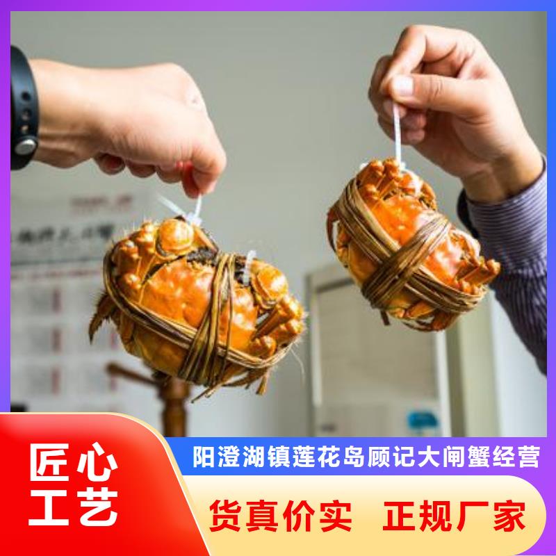 阳澄湖大闸蟹视频-江苏省南通市|海门|启东|连云港|扬州|常州|徐州|盐城阳澄湖大闸蟹-顾记