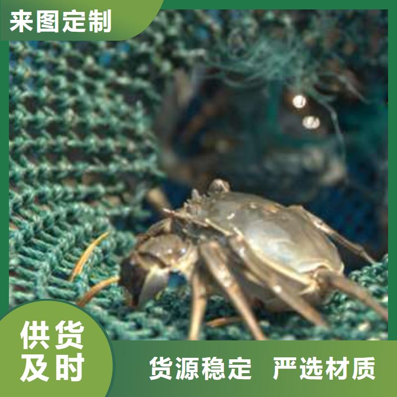 【 螃蟹 阳澄湖大闸蟹订购追求品质】-市场覆盖|南安|石狮|莆田|龙岩|漳州|厦门|三明|宁德-阿奇乐乐