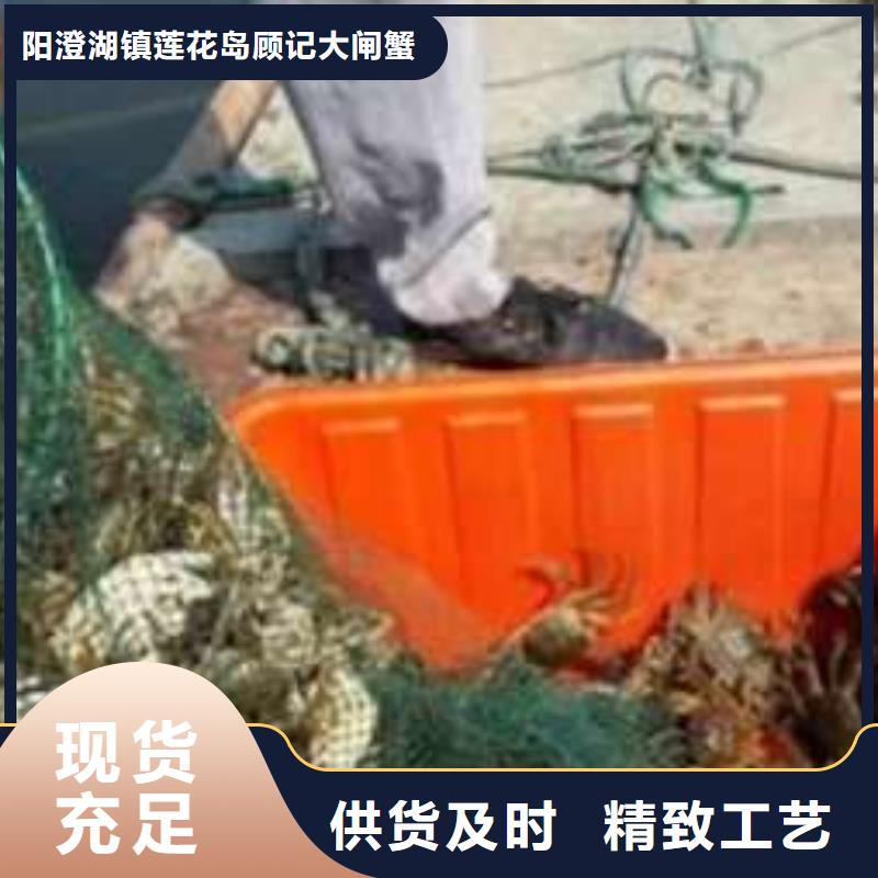 阳澄湖大闸蟹-视频-银川顾记阳澄湖大闸蟹_ 阳澄湖镇岛顾记大闸蟹经营部(宁夏分公司)