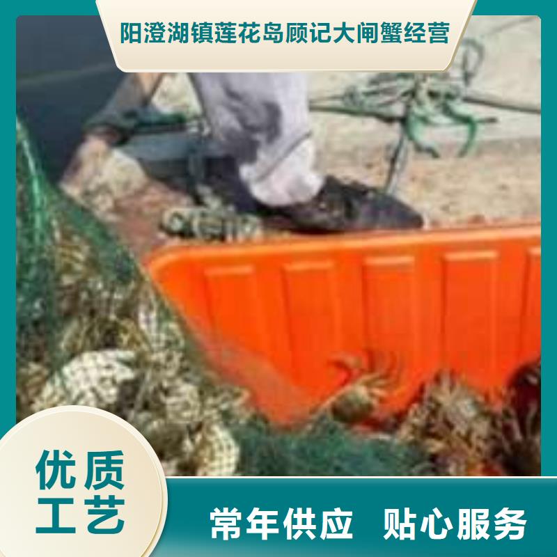 【 螃蟹 阳澄湖大闸蟹订购追求品质】-市场覆盖|南安|石狮|莆田|龙岩|漳州|厦门|三明|宁德-阿奇乐乐