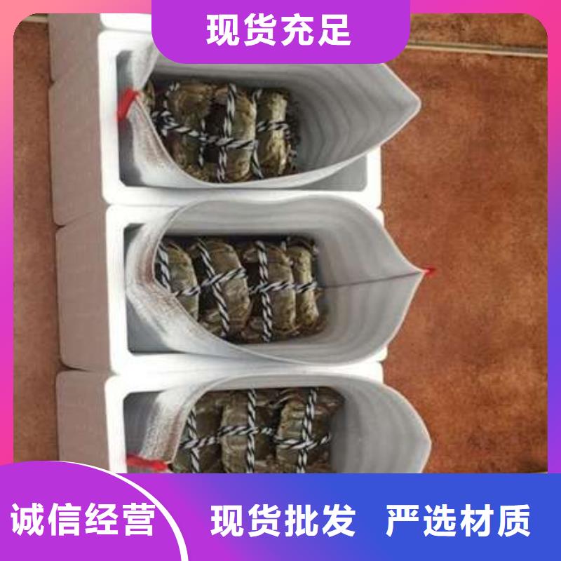 阳澄湖大闸蟹顾记螃蟹_【网上订购大闸蟹】正规厂家