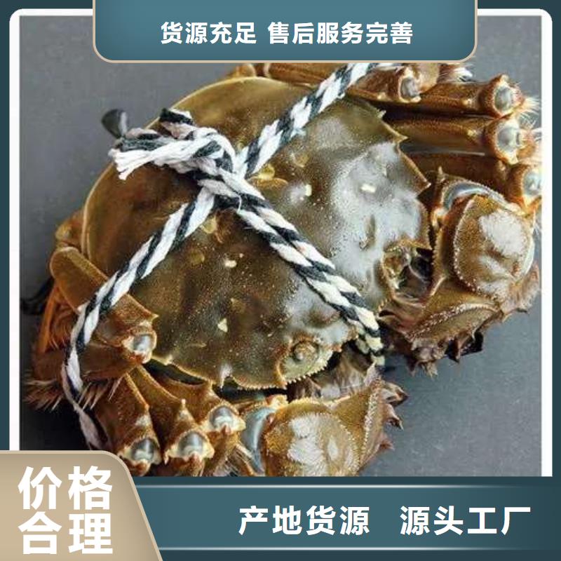 【螃蟹】-卖阳澄湖大闸蟹地方多种工艺顾记阳澄湖大闸蟹