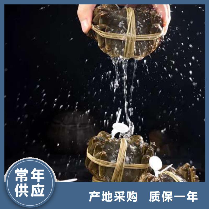 【 螃蟹 阳澄湖大闸蟹订购追求品质】-市场覆盖|南安|石狮|莆田|龙岩|漳州|厦门|三明|宁德-阿奇乐乐