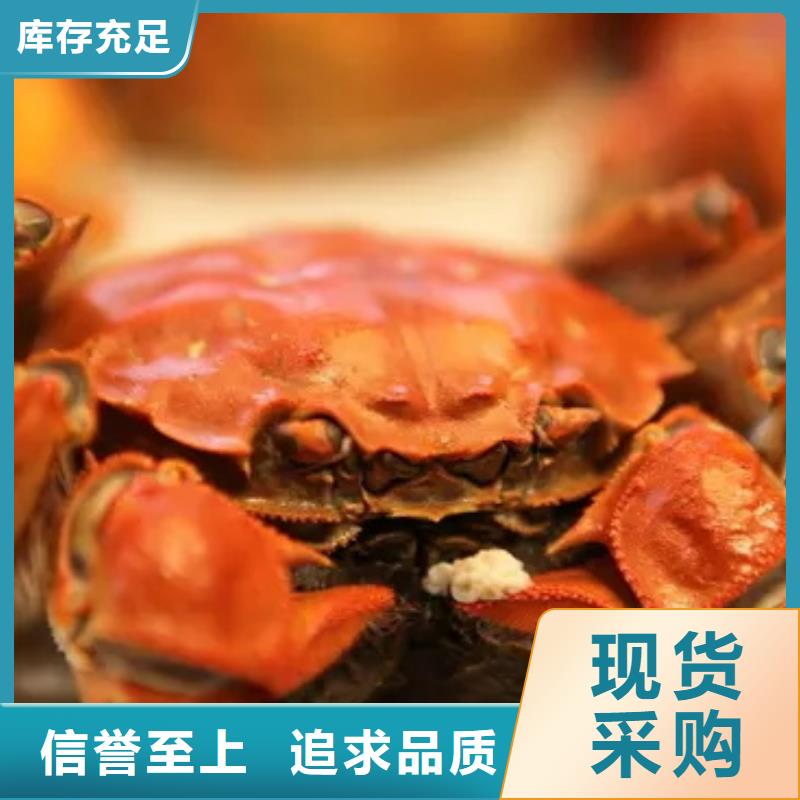 阳澄湖大闸蟹-视频-阳澄湖大闸蟹-湖北省黄冈市【周边】公司-红安|麻城|孝感|荆州|宜昌|武汉|随州|十堰