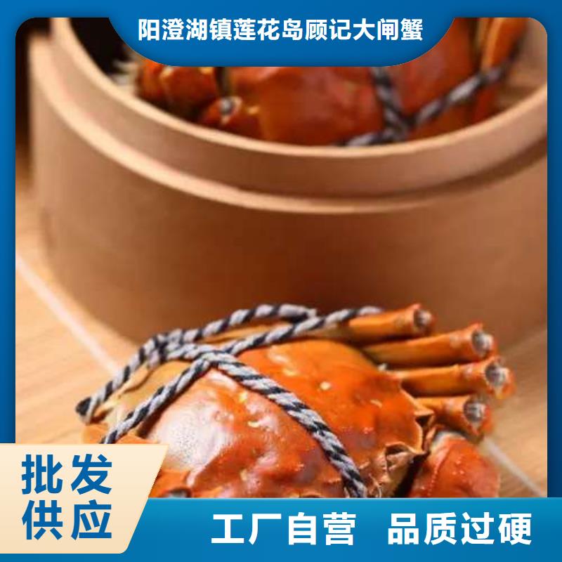 【 螃蟹 阳澄湖大闸蟹订购追求品质】-市场覆盖|南安|石狮|莆田|龙岩|漳州|厦门|三明|宁德-阿奇乐乐