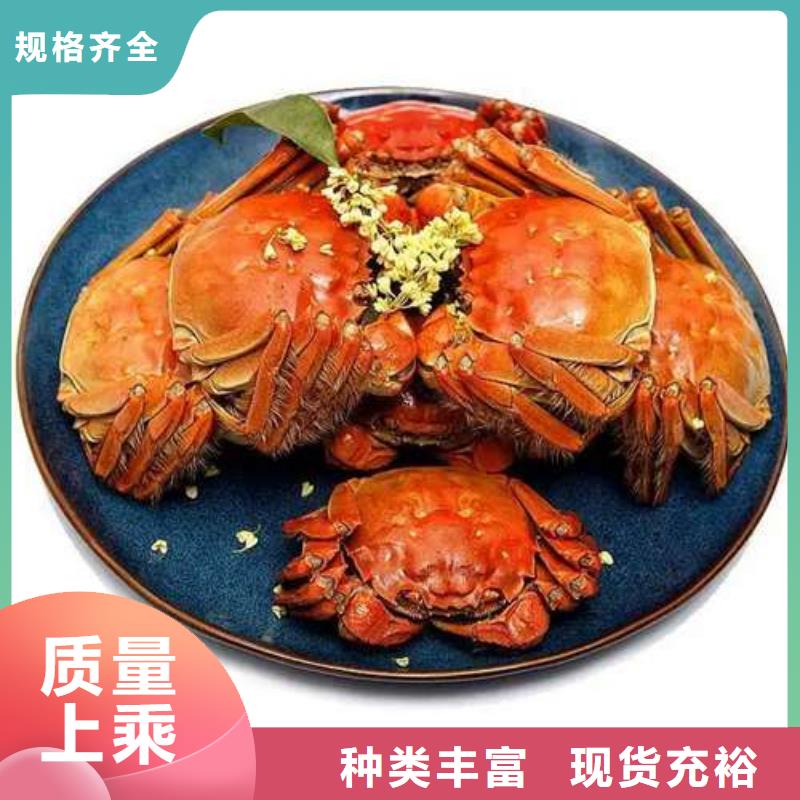 阳澄湖大闸蟹-视频-银川顾记阳澄湖大闸蟹_ 阳澄湖镇岛顾记大闸蟹经营部(宁夏分公司)