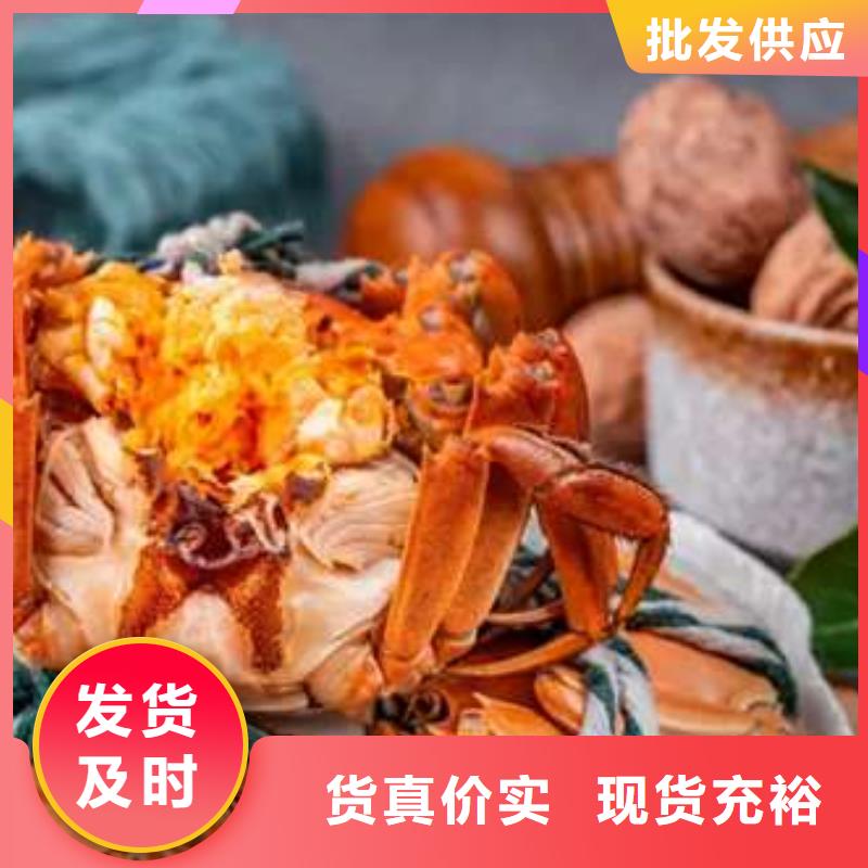 阳澄湖大闸蟹视频-莱城|钢城|淄博|菏泽|滨州|东营|威海|烟台顾记阳澄湖大闸蟹_ 阳澄湖镇岛顾记大闸蟹经营部(莱芜市分公司)