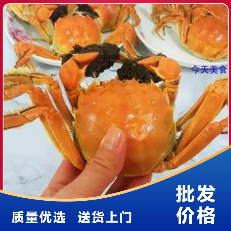 阳澄湖大闸蟹视频-阳澄湖大闸蟹_宁夏市场覆盖银川等