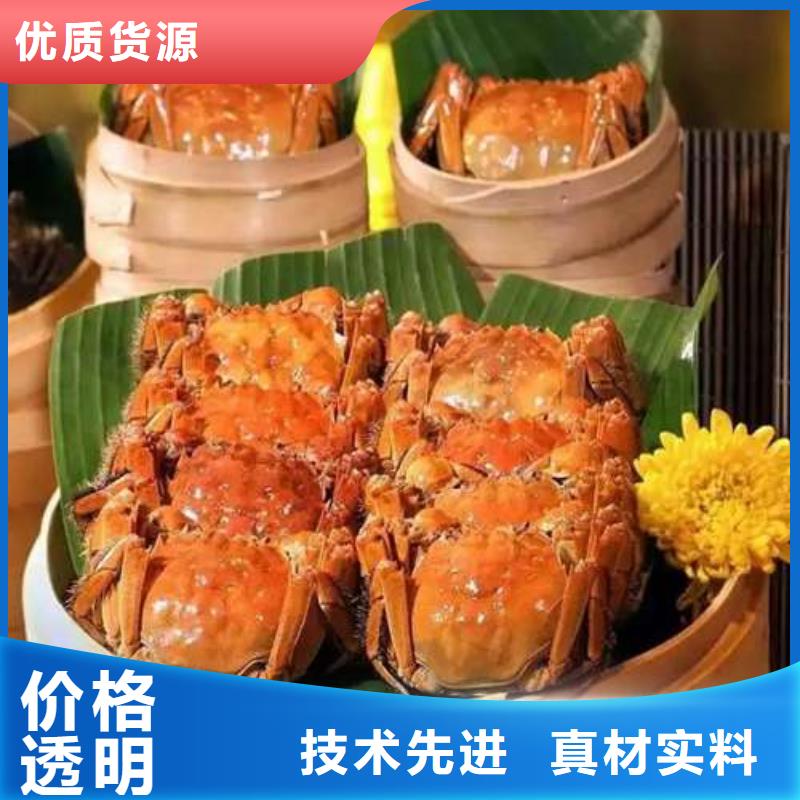 阳澄湖大闸蟹-视频-银川顾记阳澄湖大闸蟹_ 阳澄湖镇岛顾记大闸蟹经营部(宁夏分公司)