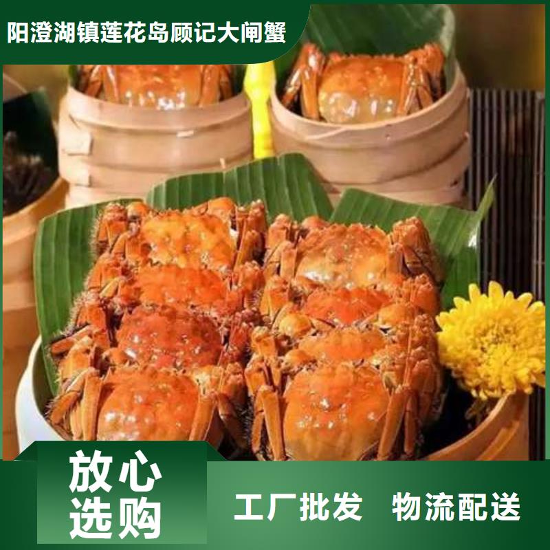 阳澄湖大闸蟹-视频-阳澄湖大闸蟹-湖北省黄冈市【周边】公司-红安|麻城|孝感|荆州|宜昌|武汉|随州|十堰