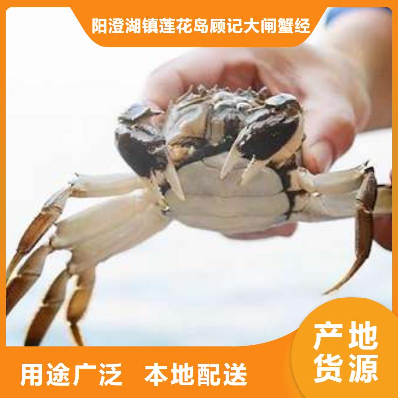 【 螃蟹,阳澄湖大闸蟹包邮专注细节专注品质】同城经销商