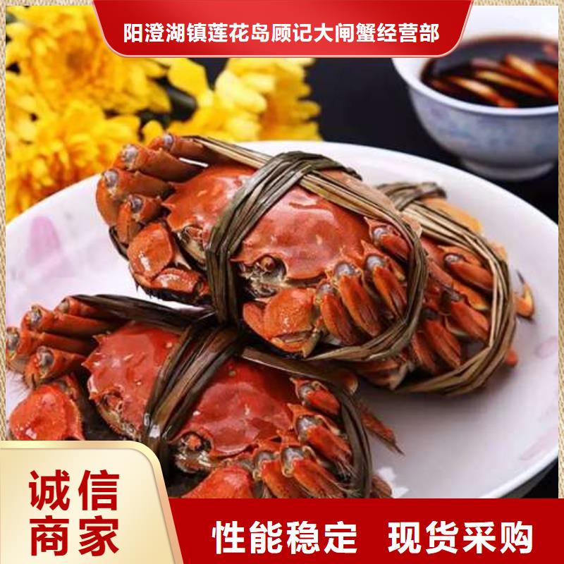 阳澄湖大闸蟹-视频-神木|佳县|商洛|咸阳|宝鸡|汉中顾记阳澄湖大闸蟹_ 阳澄湖镇岛顾记大闸蟹经营部(榆林市分公司)