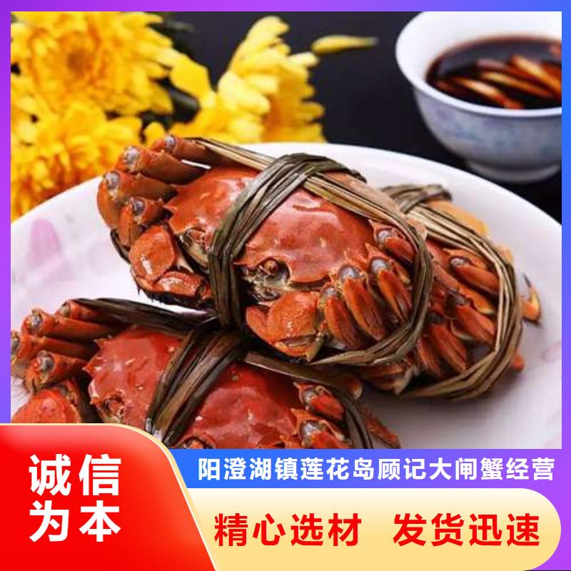 【 螃蟹_买大闸蟹品种全】-阳澄湖镇岛顾记大闸蟹经营部(榆林市分公司)