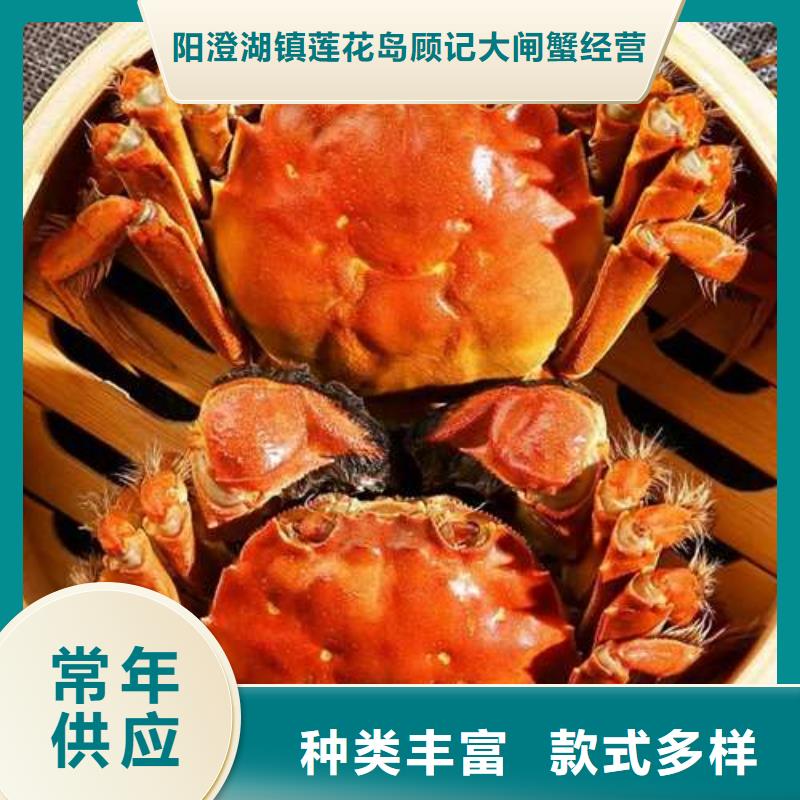 阳澄湖大闸蟹视频-广西省河池市|东兰|天峨|来宾|贺州|百色|玉林|柳州|钦州阳澄湖大闸蟹-顾记