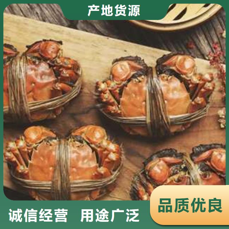阳澄湖大闸蟹-视频-银川顾记阳澄湖大闸蟹_ 阳澄湖镇岛顾记大闸蟹经营部(宁夏分公司)