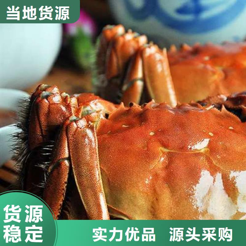 阳澄湖大闸蟹-视频-神木|佳县|商洛|咸阳|宝鸡|汉中顾记阳澄湖大闸蟹_ 阳澄湖镇岛顾记大闸蟹经营部(榆林市分公司)