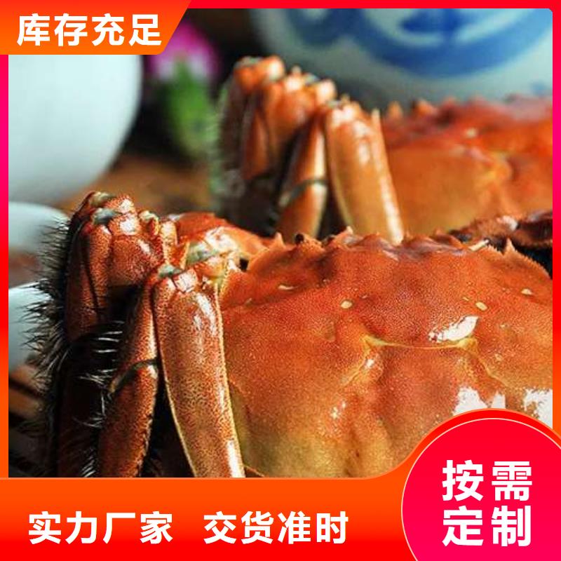 阳澄湖大闸蟹-视频-阳澄湖大闸蟹-湖北省黄冈市【周边】公司-红安|麻城|孝感|荆州|宜昌|武汉|随州|十堰