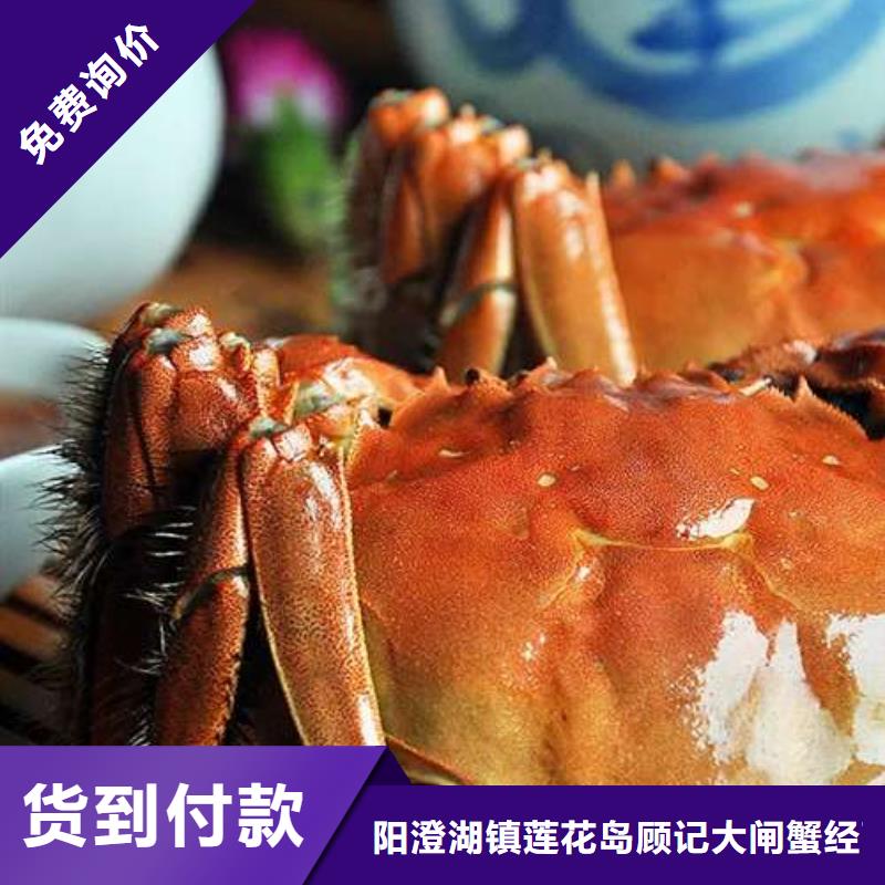 支持大批量采购把实惠留给您 螃蟹_【阳澄湖大闸蟹】支持拿样